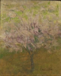 Almendro