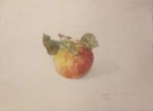 Fruta