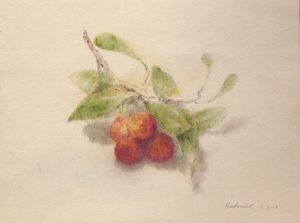 Frutos